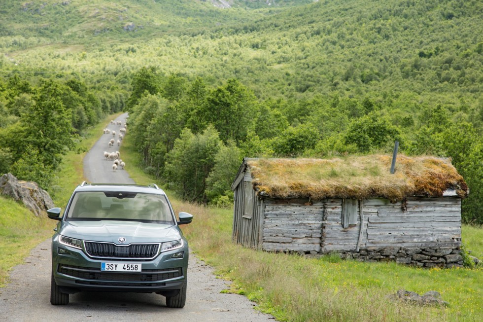 Skoda Kodiaq получит новые версии Skoda Kodiaq получит новые версии